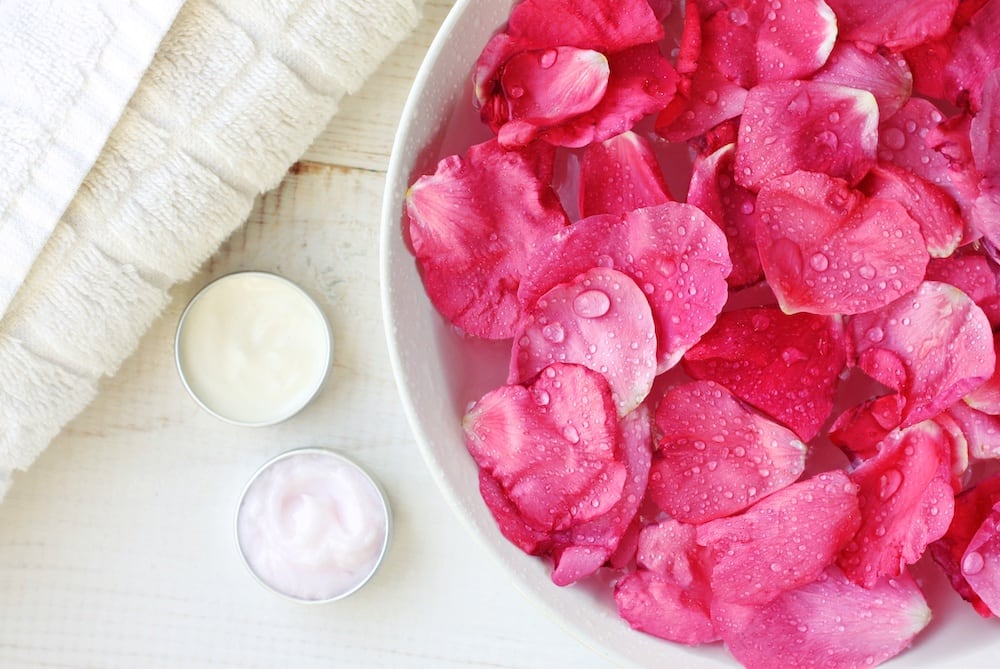 pink rose petals