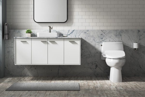 bathroom showing vanity and toilet