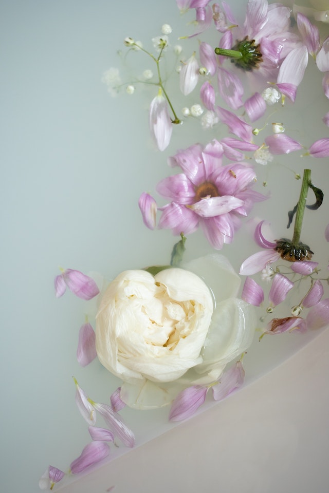 purple and white flowers in bathwater