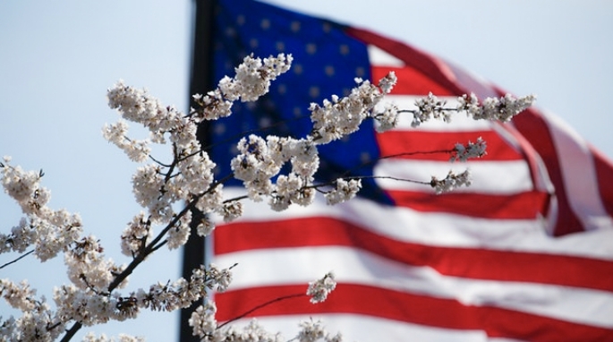 american flag with flowers